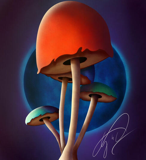 Shrooms